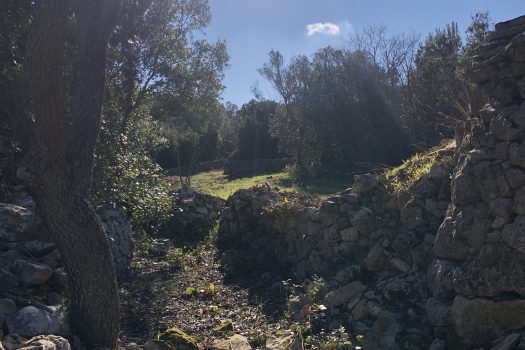 Complesso di trulli con ampio terreno a pochi minuti da Alberobello