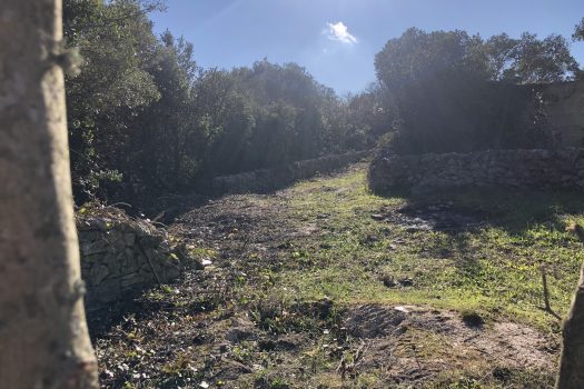 Complesso di trulli con ampio terreno a pochi minuti da Alberobello