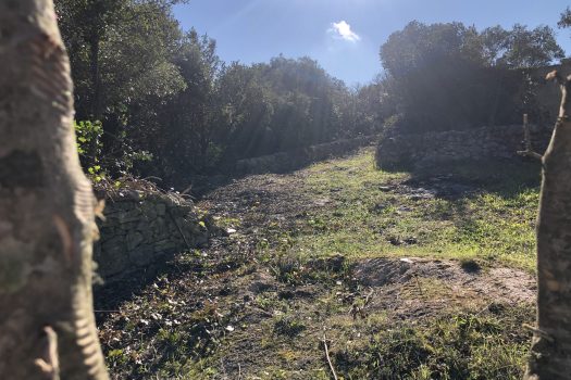 Complesso di trulli con ampio terreno a pochi minuti da Alberobello