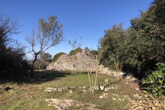 Complesso di trulli con ampio terreno a pochi minuti da Alberobello