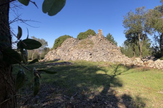 Complesso di trulli con ampio terreno a pochi minuti da Alberobello