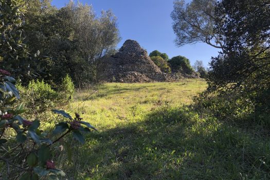 Complesso di trulli con ampio terreno a pochi minuti da Alberobello