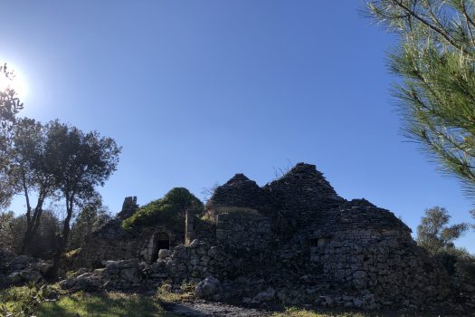 Complesso di trulli con ampio terreno a pochi minuti da Alberobello