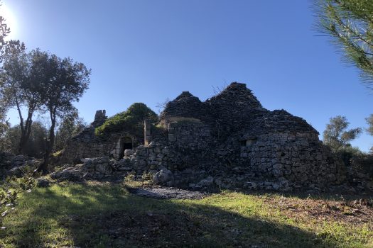 Complesso di trulli con ampio terreno a pochi minuti da Alberobello