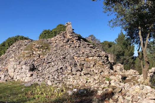 Complesso di trulli con ampio terreno a pochi minuti da Alberobello