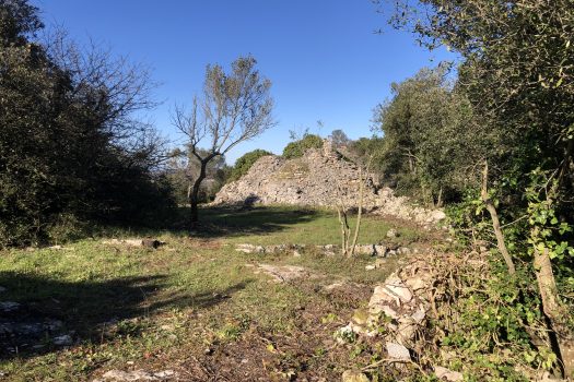 Complesso di trulli con ampio terreno a pochi minuti da Alberobello