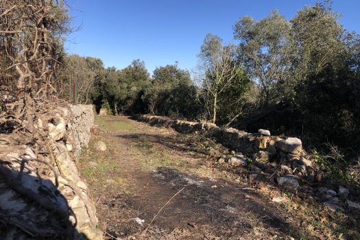 Complesso di trulli con ampio terreno a pochi minuti da Alberobello