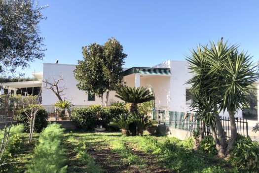 Villa singola in vendita – Monopoli, Contrada Impalata