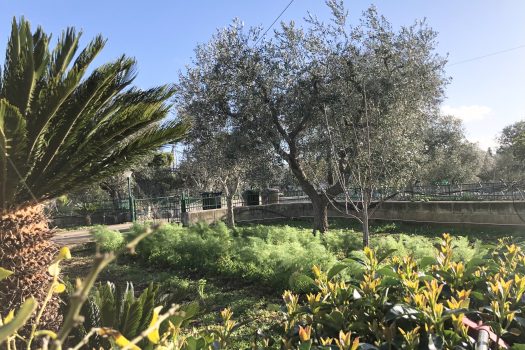 Villa singola in vendita – Monopoli, Contrada Impalata