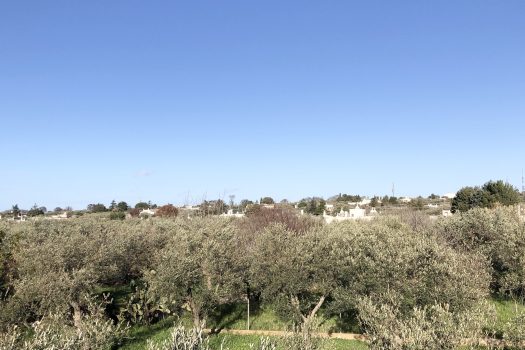 Villa singola in vendita – Monopoli, Contrada Impalata