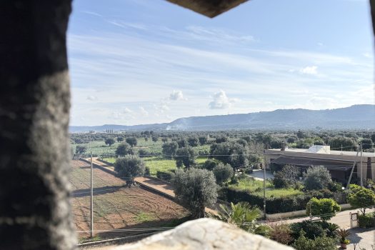 Monopoli – Villa bifamiliare in Vendita