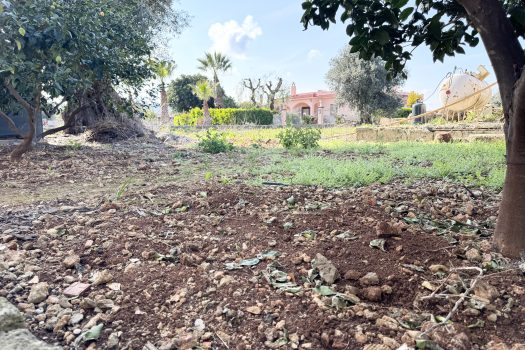 Monopoli – Villa bifamiliare in Vendita