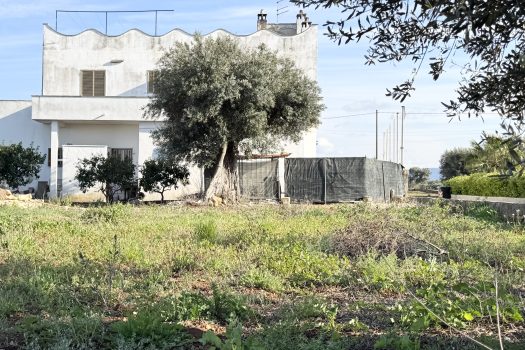 Monopoli – Villa bifamiliare in Vendita