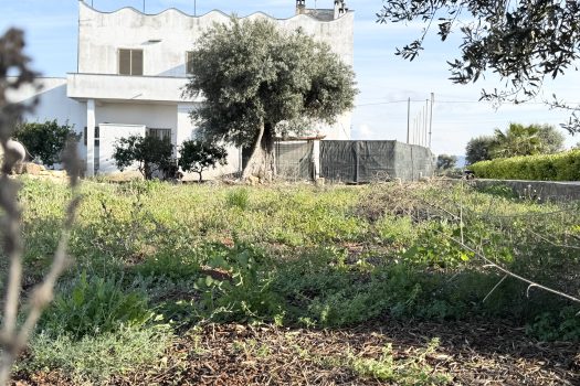 Monopoli – Villa bifamiliare in Vendita