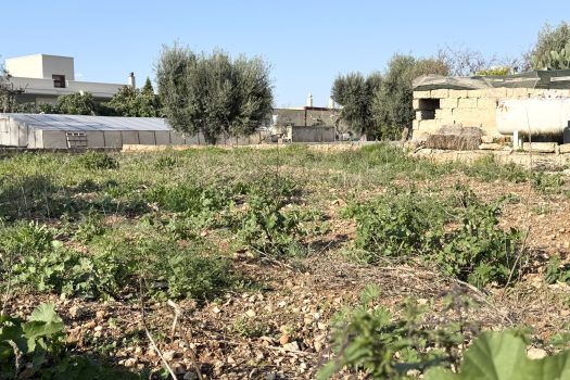 Monopoli – Villa bifamiliare in Vendita