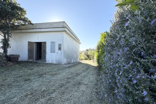 Martina Franca – Trullo con abitazione e giardino