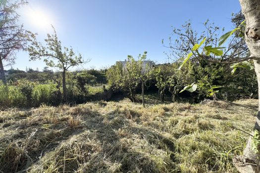 Martina Franca – Trullo con abitazione e giardino