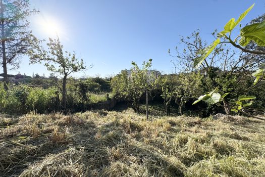 Martina Franca – Trullo con abitazione e giardino