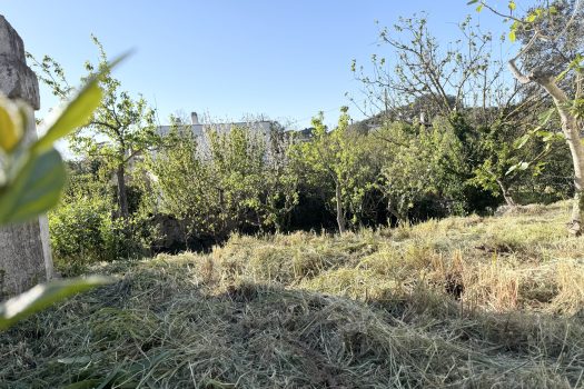 Martina Franca – Trullo con abitazione e giardino
