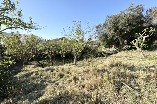 Martina Franca – Trullo con abitazione e giardino