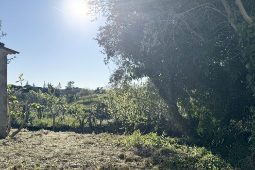 Martina Franca – Trullo con abitazione e giardino