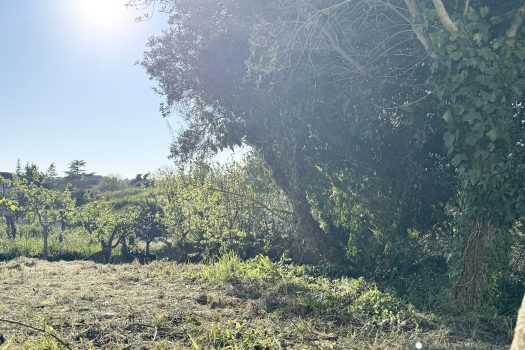 Martina Franca – Trullo con abitazione e giardino