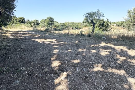 Monopoli Sant’Oceano | Abitazione d’epoca con pineta e terreno
