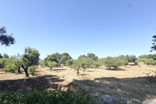 Monopoli Sant’Oceano | Abitazione d’epoca con pineta e terreno