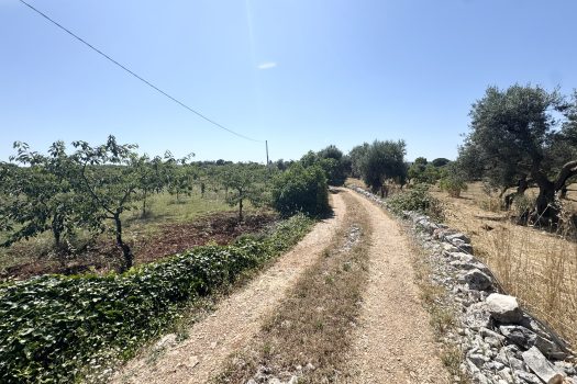 Monopoli Sant’Oceano | Abitazione d’epoca con pineta e terreno
