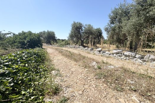 Monopoli Sant’Oceano | Abitazione d’epoca con pineta e terreno