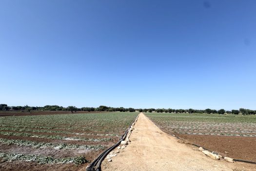 Monopoli | Terreno edificabile con sviluppo di 600 mq.