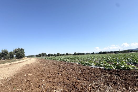 Monopoli | Terreno edificabile con sviluppo di 600 mq.