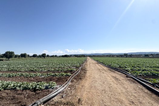 Monopoli | Terreno edificabile con sviluppo di 600 mq.