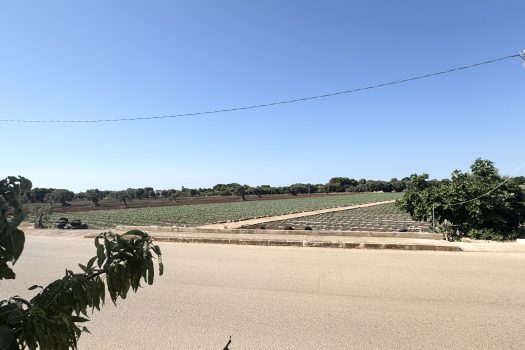 Monopoli | Terreno edificabile con sviluppo di 600 mq.