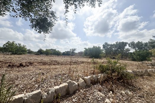 Dimora d’epoca in pietra tra ulivi secolari
