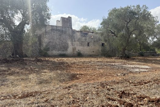 Dimora d’epoca in pietra tra ulivi secolari