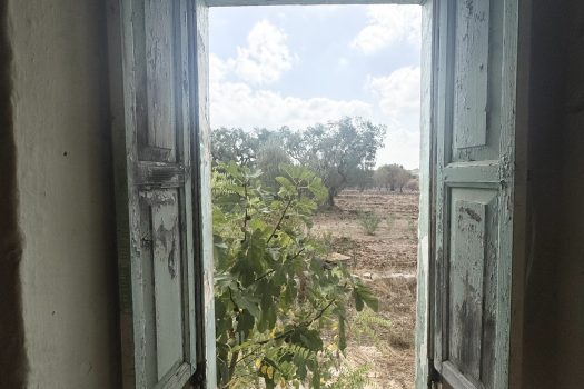 Dimora d’epoca in pietra tra ulivi secolari