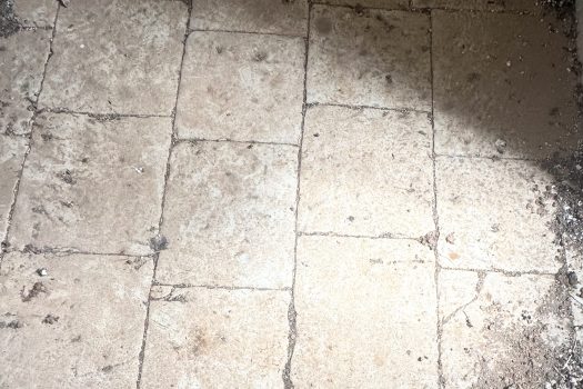 Dimora d’epoca in pietra tra ulivi secolari