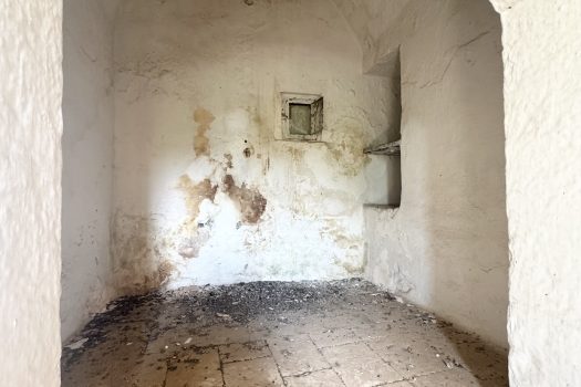 Dimora d’epoca in pietra tra ulivi secolari