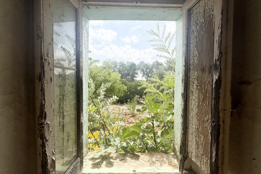 Dimora d’epoca in pietra tra ulivi secolari