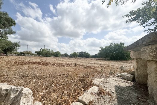 Dimora d’epoca in pietra tra ulivi secolari