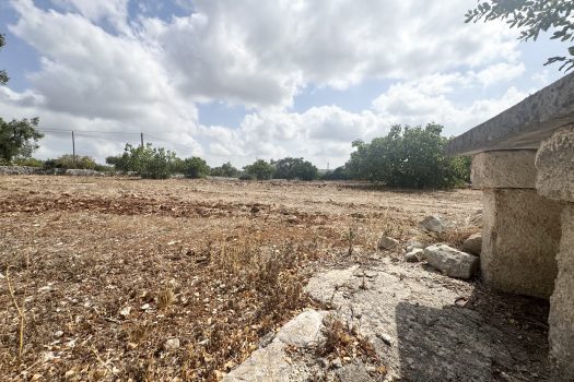 Dimora d’epoca in pietra tra ulivi secolari
