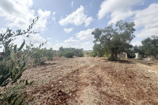 Dimora d’epoca in pietra tra ulivi secolari