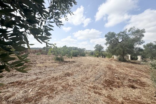 Dimora d’epoca in pietra tra ulivi secolari