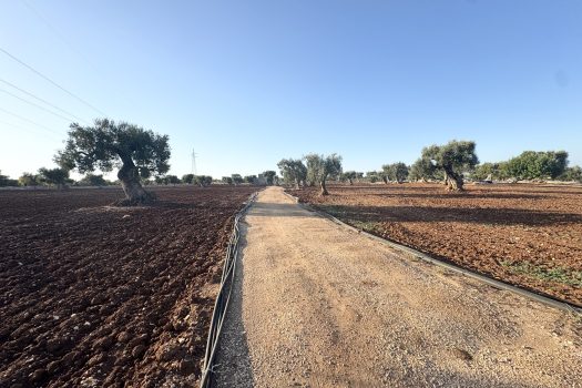 Terreno in vendita a Monopoli – Contrada Mozzo