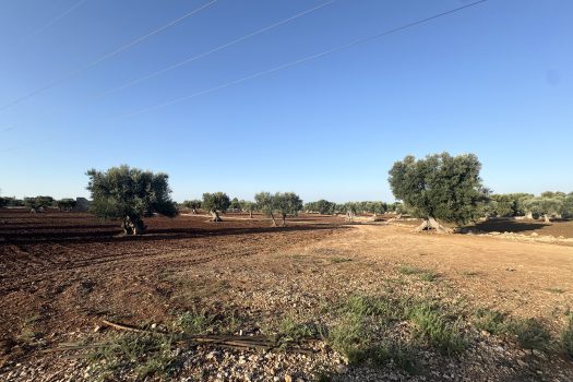 Terreno in vendita a Monopoli – Contrada Mozzo