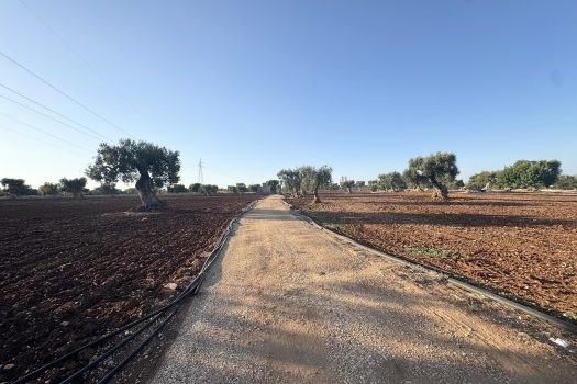 Terreno in vendita a Monopoli – Contrada Mozzo