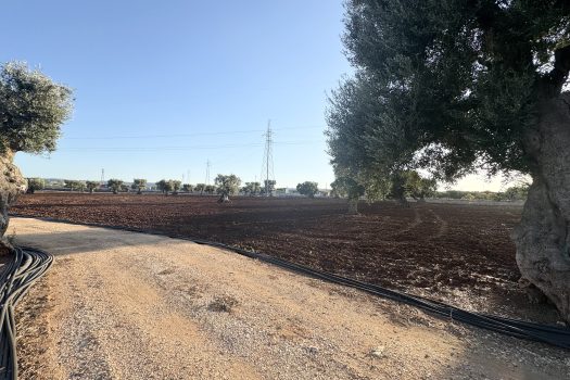 Terreno in vendita a Monopoli – Contrada Mozzo