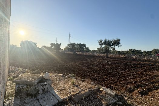 Terreno in vendita a Monopoli – Contrada Mozzo