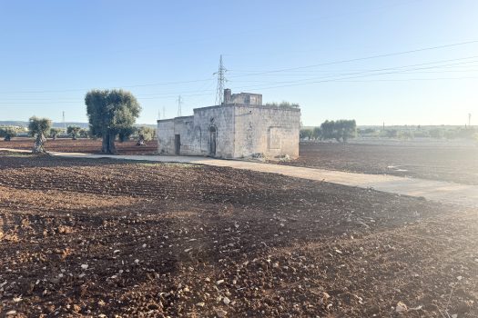 Terreno in vendita a Monopoli – Contrada Mozzo